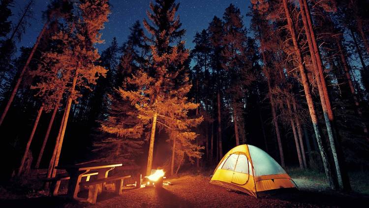 Plan a camping trip near Chicago