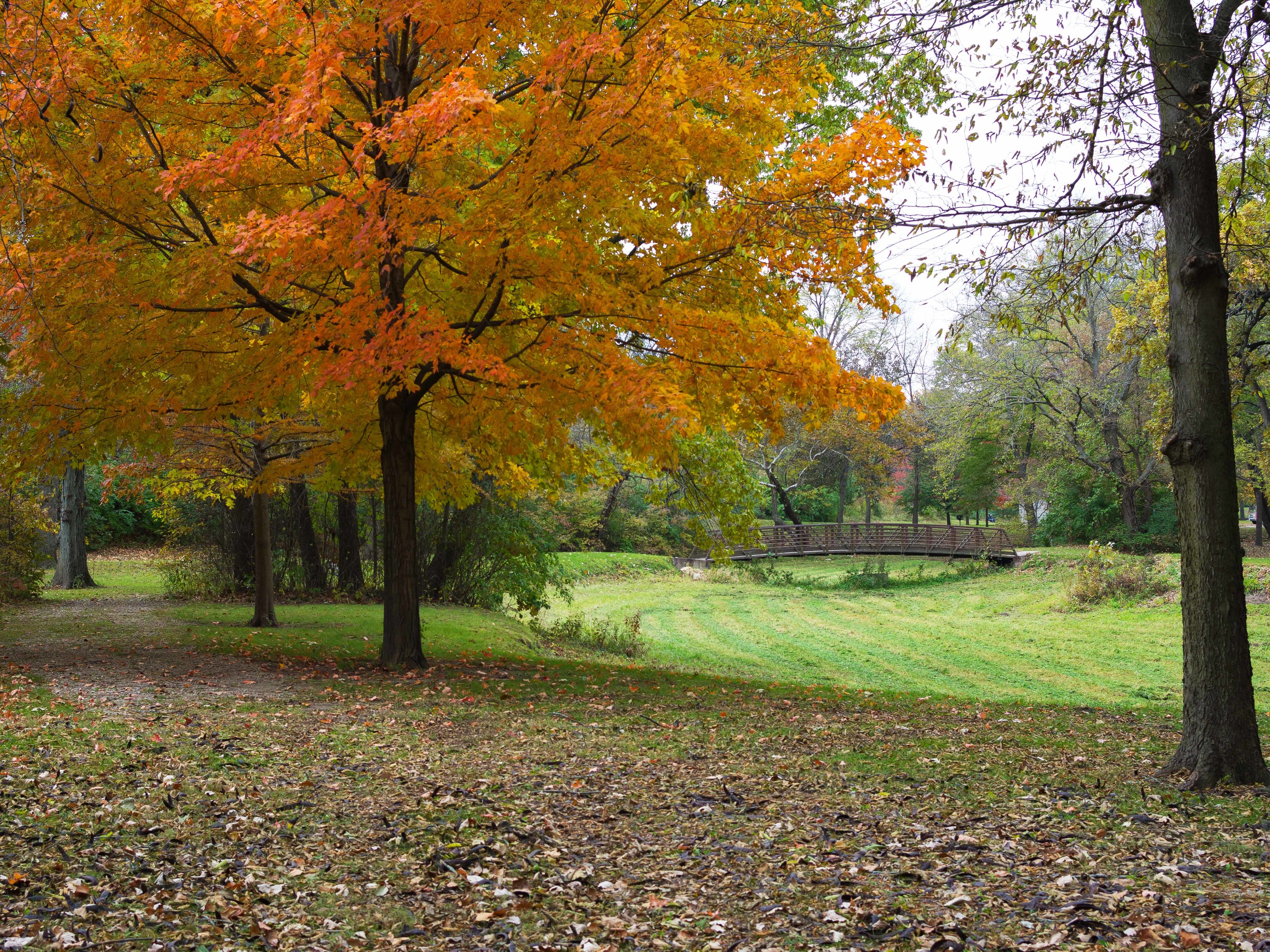 North Branch Trail Attractions - Image