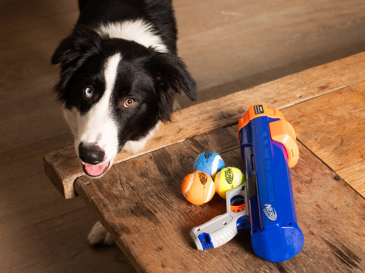 Nerf Blaster Nerf Blaster