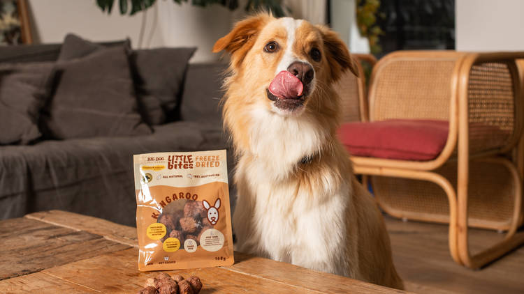Big Dog Kangaroo Little Bites 
