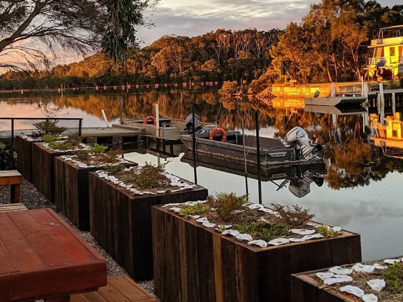 The Best Oysters Along NSW's South Coast