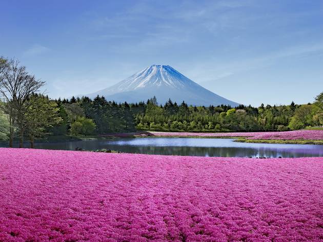 Where To Get The Best Views Of Mount Fuji Time Out Tokyo