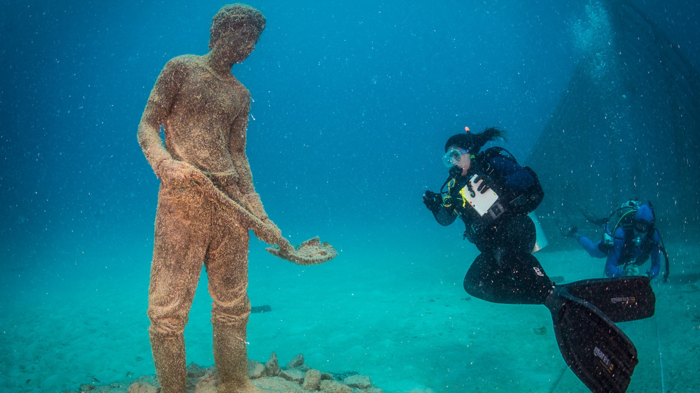 Coral Greenhouse, by Jason deCaires Taylor