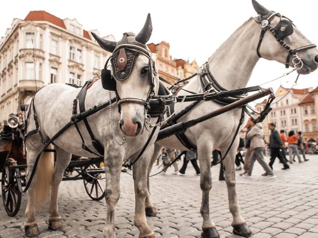 Horse-drawn carriage in Prague Horse-drawn carriage in Prague