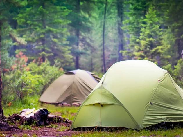 Here's what families need to know about camping in 2020 camping camp tent