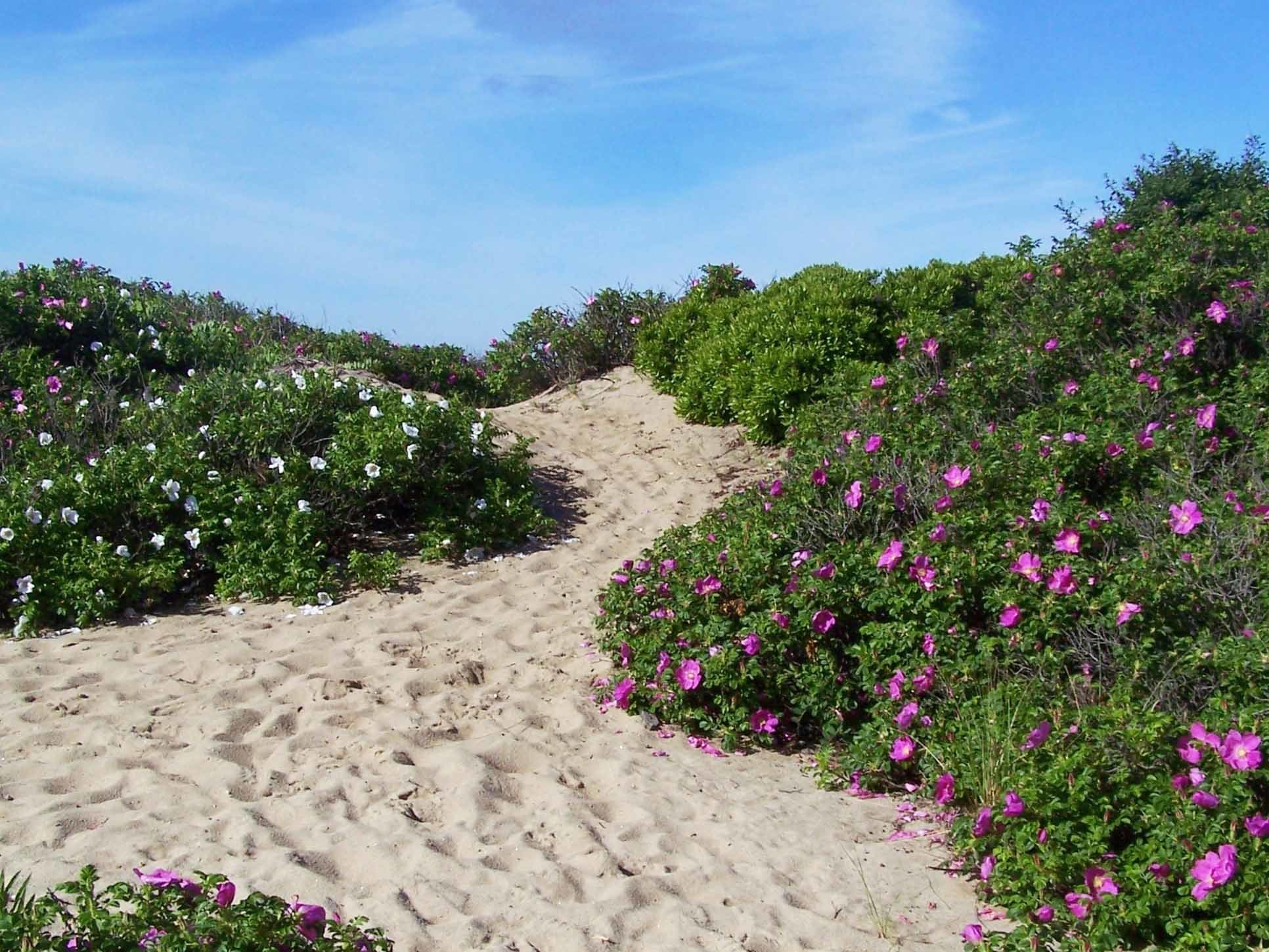 camp beach