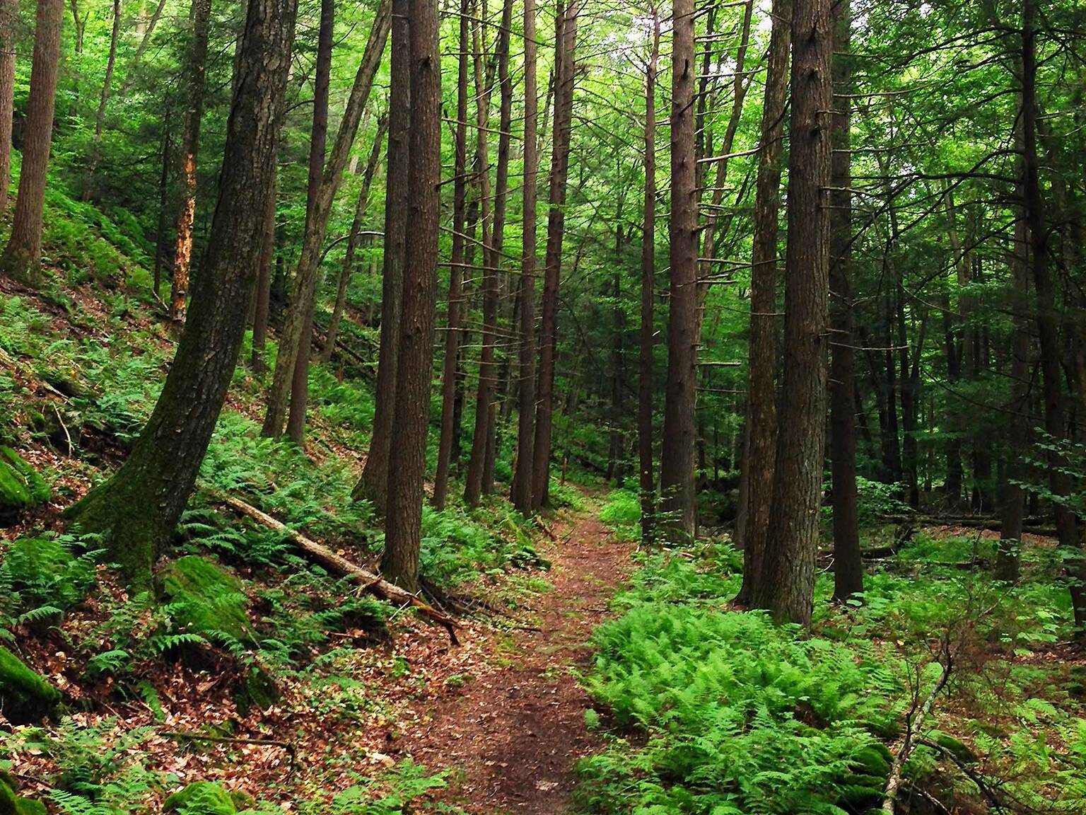 19 Best Places for Camping Near NYC