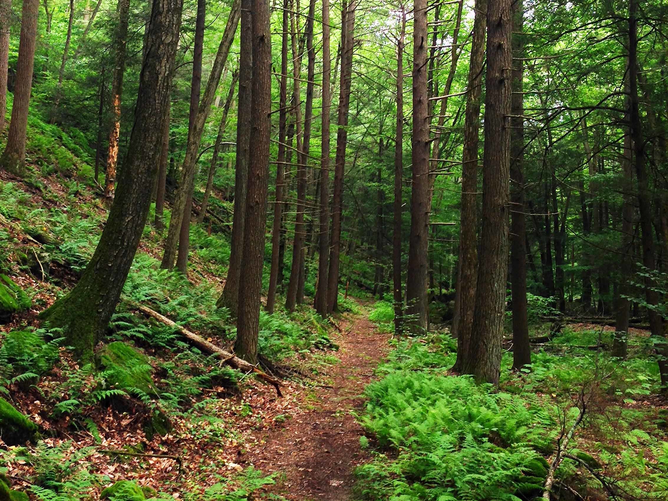 Best Camping Near NYC At Parks And Campgrounds