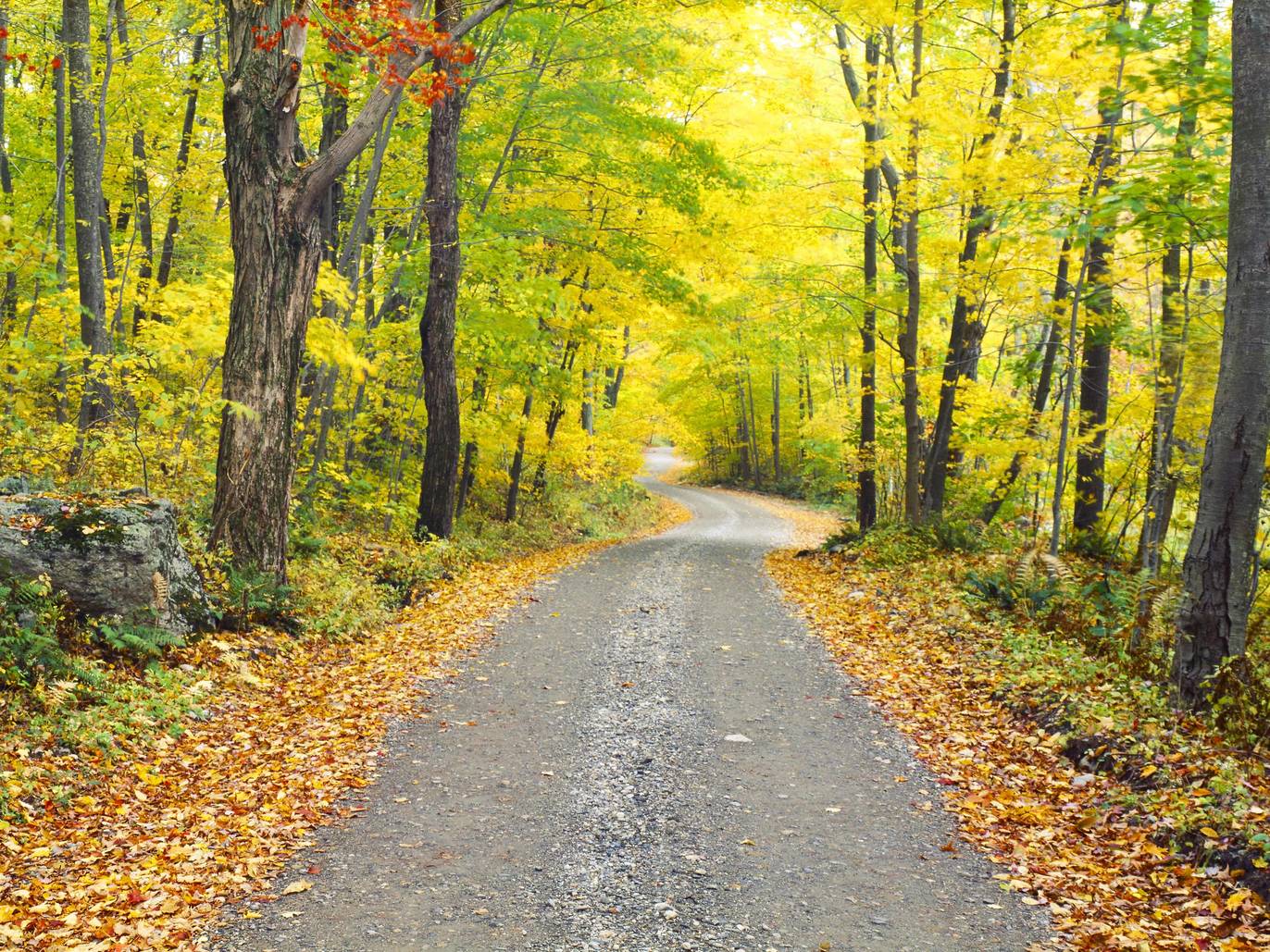 19 Best Places for Camping Near NYC