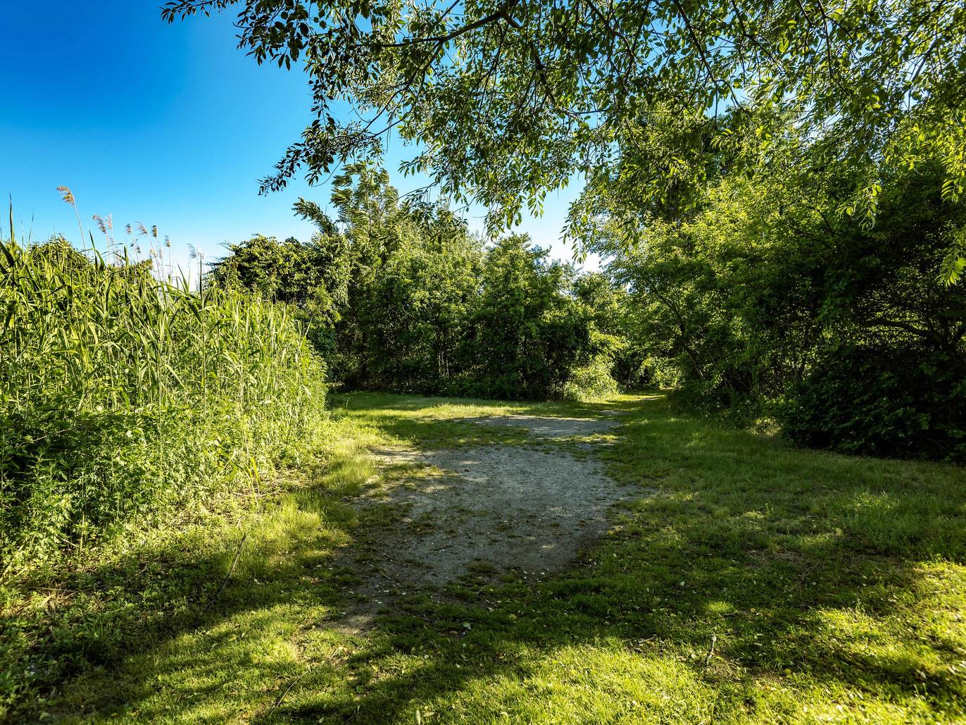 7 Family Camping Spots Near NYC To Try in 2020