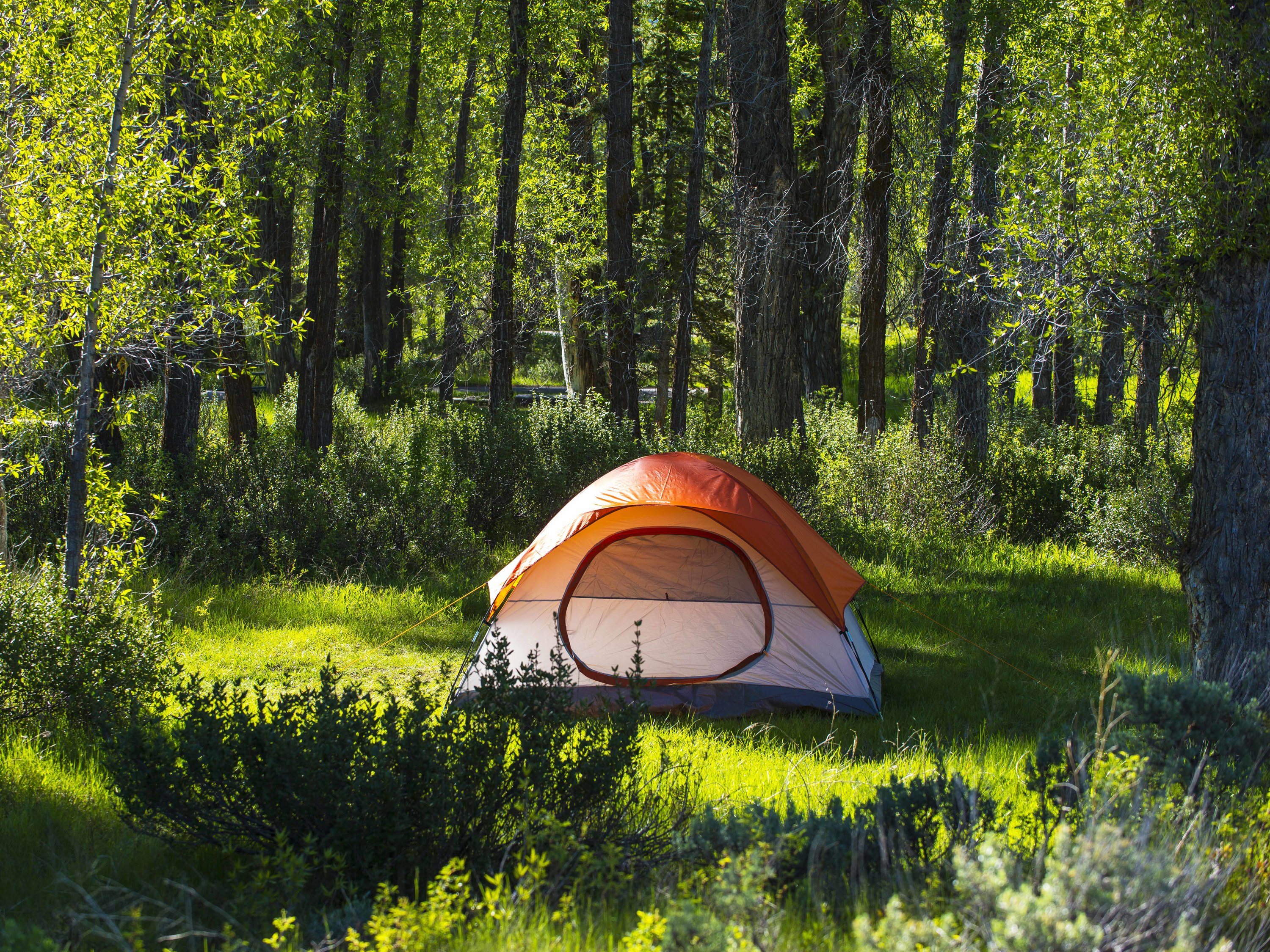 tent camping near me