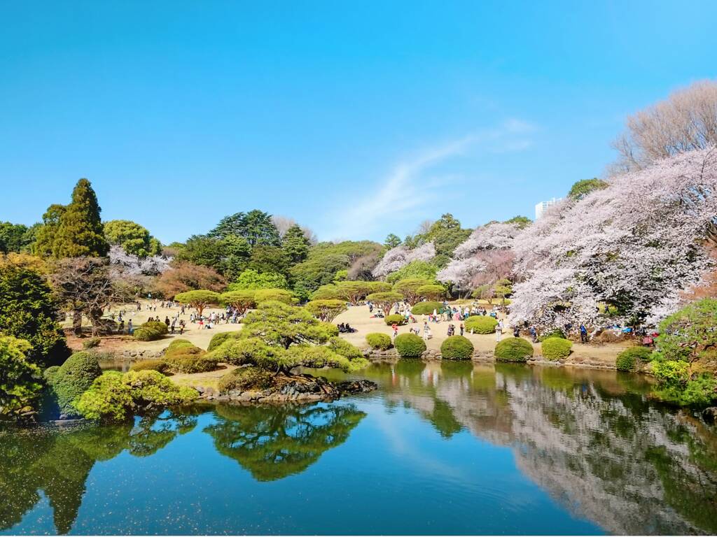 7 best Japanese gardens in Tokyo to enjoy Japan's seasonal beauty