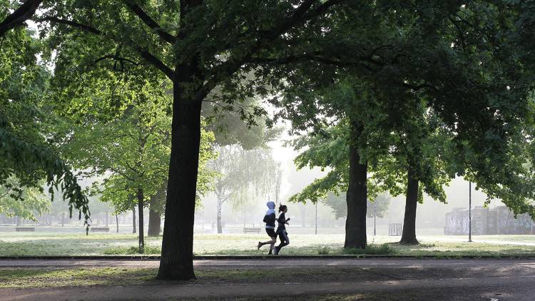 Two people jogging through a park