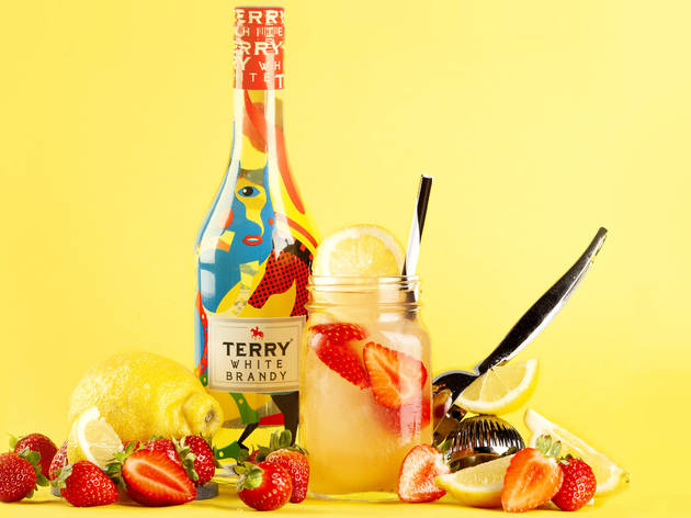 Terry White Brandy, cócteles