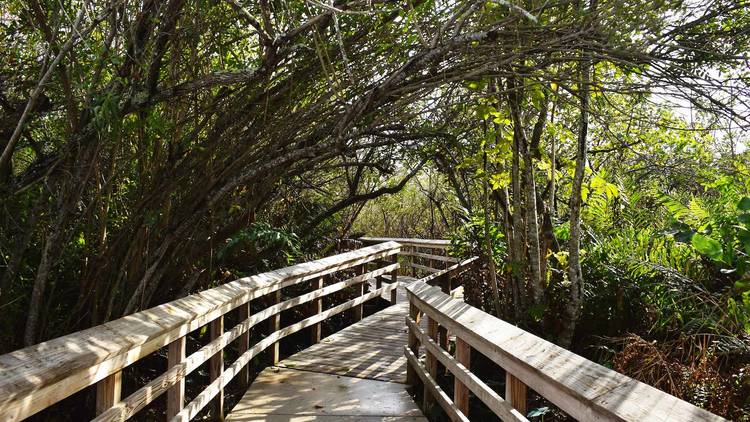 Everglades National Park