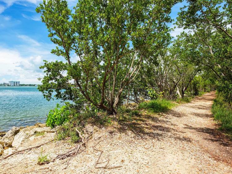 Oleta River State Park