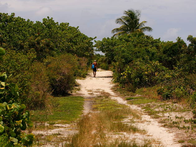 Bear Cut Preserve Bear Cut Preserve Crandon Park