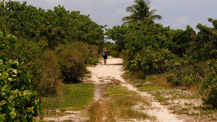 Crandon Park