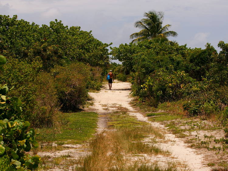 Crandon Park