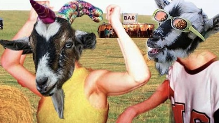 Photograph: Courtesy of The Oxford v Cambridge Goat Race