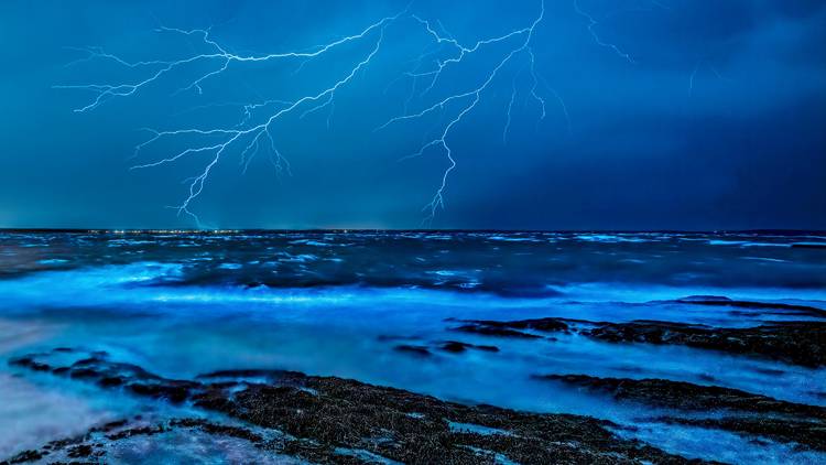 Bioluminescent plankton, Jervis Bay, NSW