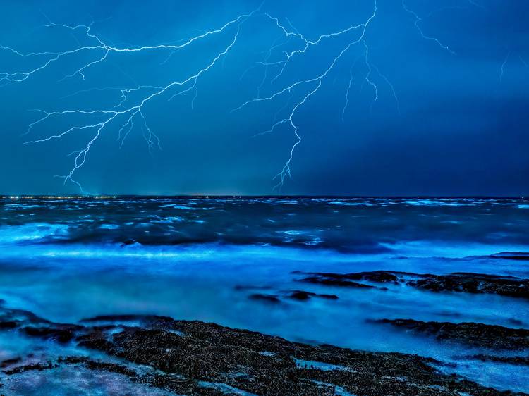 Bioluminescent plankton, Jervis Bay, NSW