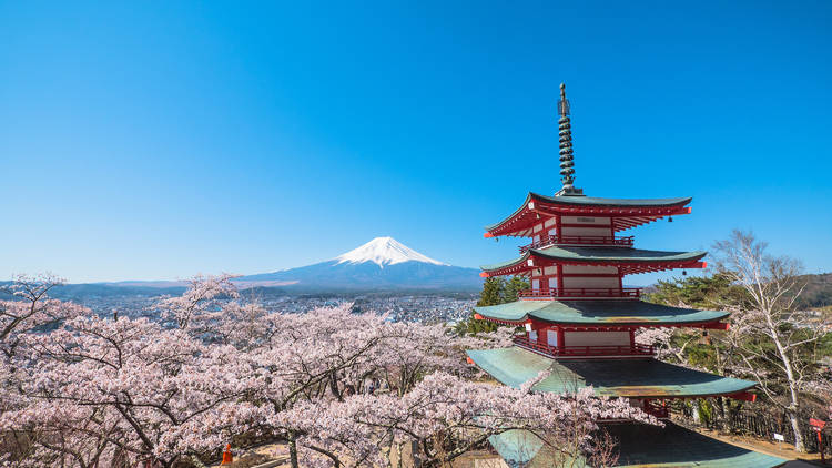 Chureito Pagoda at Arakura Sengen Shrine