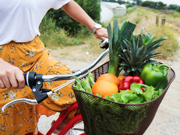 Veggie & Go Veggie & Go