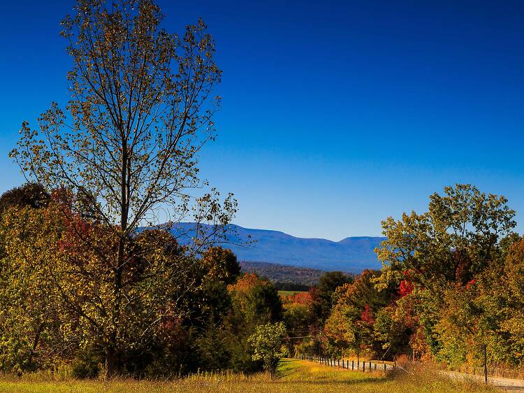 Catskill Mountains Scenic Byway