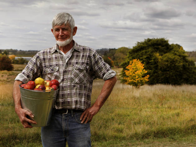 Acres Cyder Acres Cyder orchards