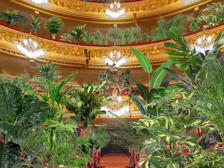 The Barcelona opera house is putting on a concert for plants
