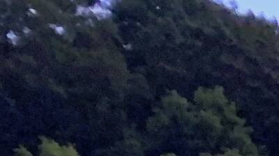 18 Amazing drive-in theaters near New York City