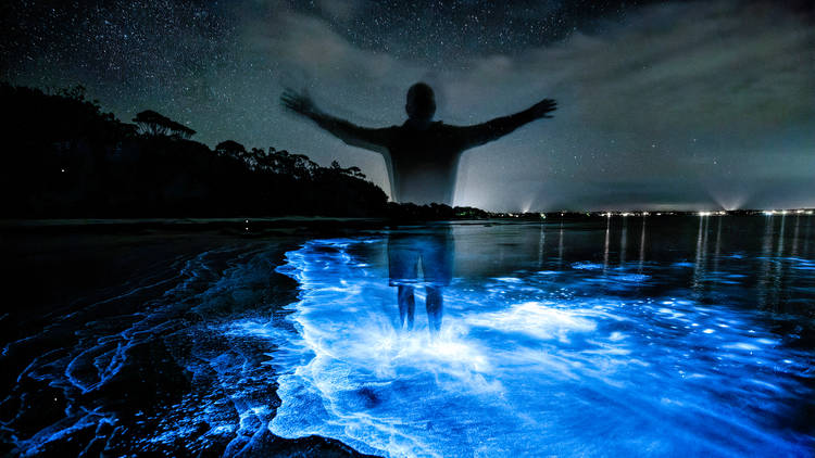 A man stands in the luminous plankton of Jervis Bay