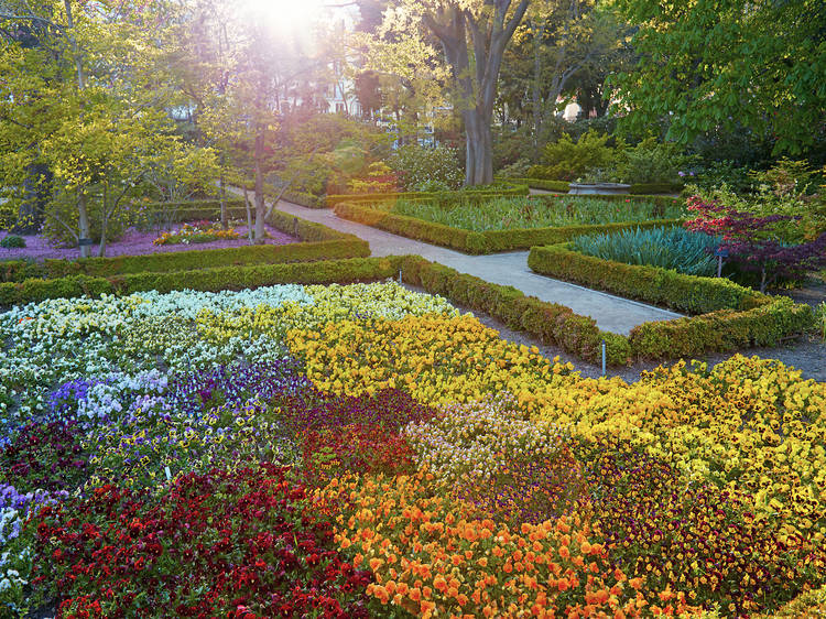 Real Jardín Botánico