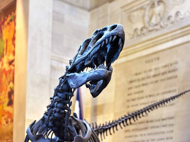 Virtual Field Trips with the Museum of Natural History