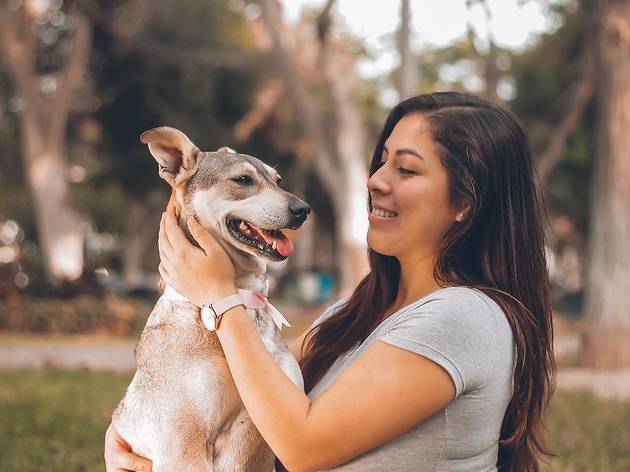 E-Pet's Day Out returns with more adorable dogs, cats and other rescues to  adopt