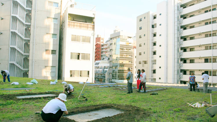 農園を作ることで街を変えていく