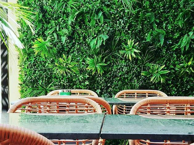 The Green Affair Chiado