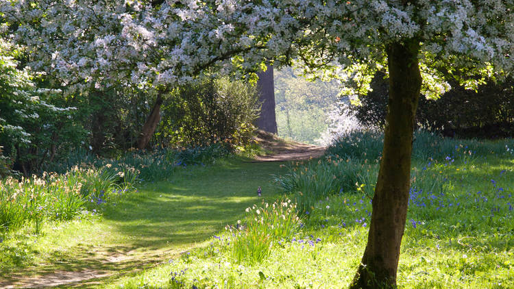 The peaceful gardens