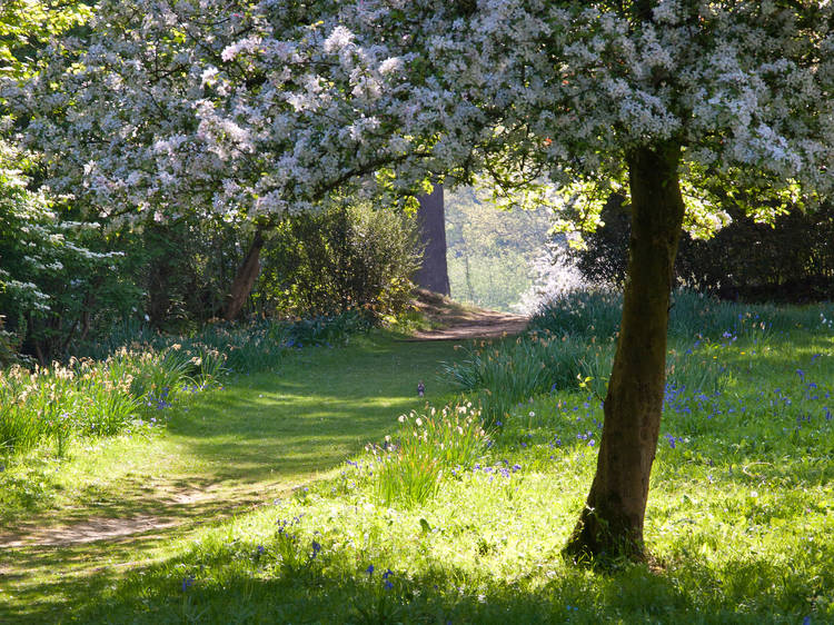 The peaceful gardens