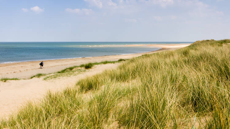 The picturesque beach