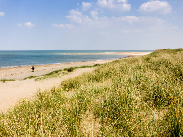 The picturesque beach