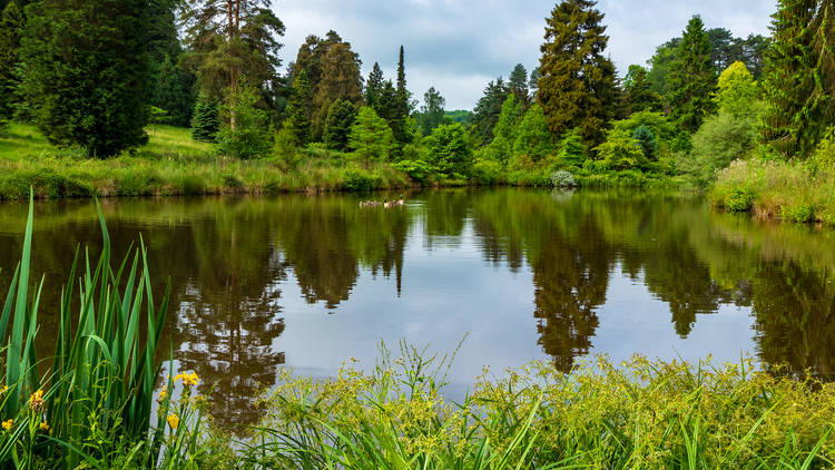 Bedgebury Pinetum