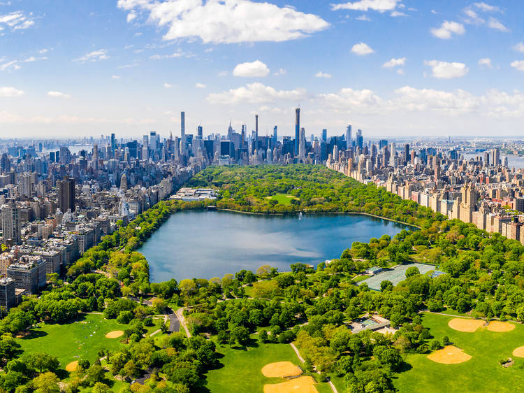 NYC summer skyline central park