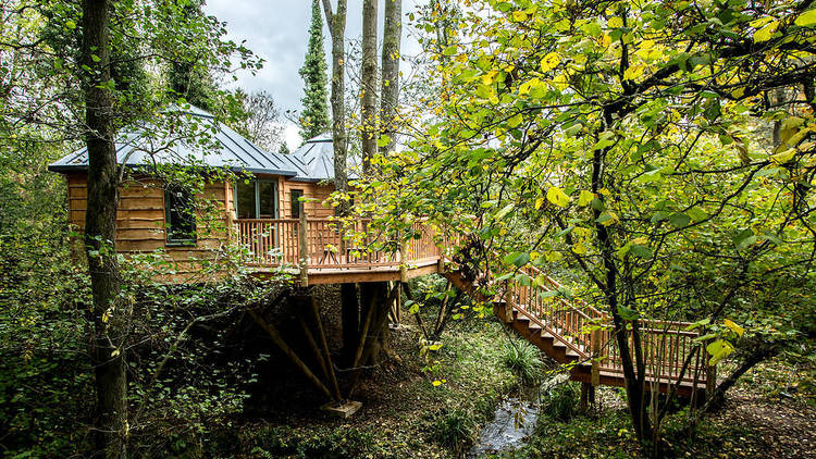 The Bower Treehouse, Somerset