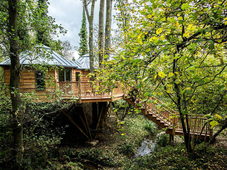 The Bower Treehouse, Somerset