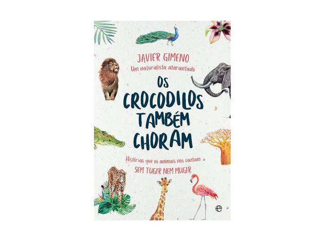 Os Crocodilos Também Choram Livros, Livros Infantis, Os Crocodilos Também Choram, Javier Gimeno