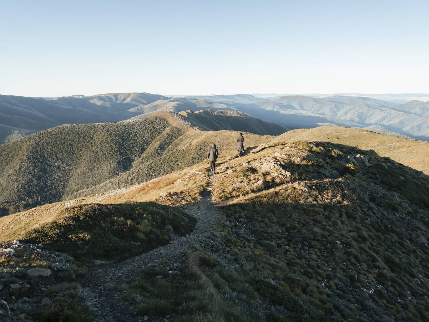 The best day hikes from Melbourne 14 bushwalks in Victoria