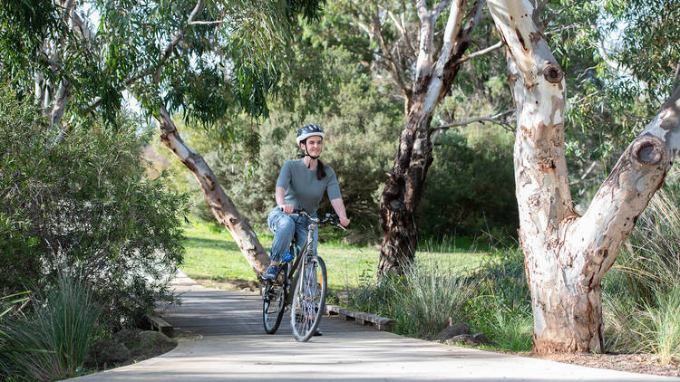 Lollypop Creek Bike Trail