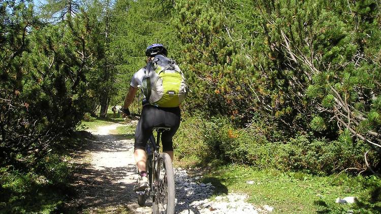 Heathdale/Glen Orden Wetlands Bike Trail